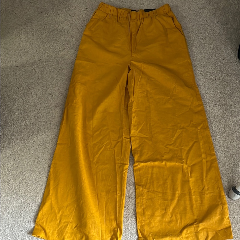 Express Mustard Wide Leg Pants